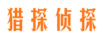 通道侦探公司